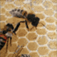 Illustration for article titled Christian Faur's Crayon Art Will Make You Cross-Eyed